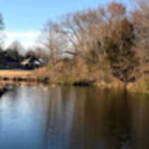 Meet your Posher, Arianne